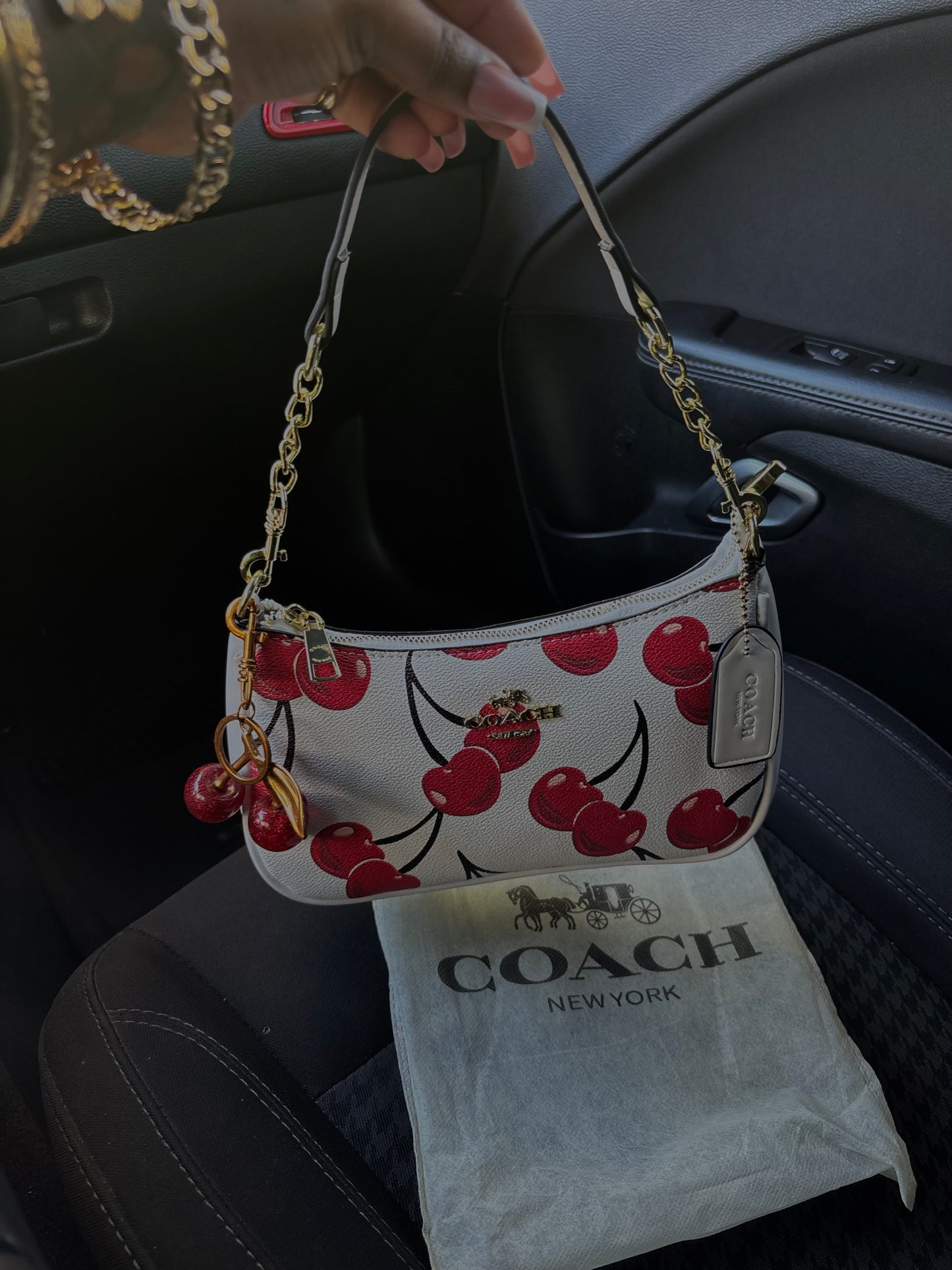 ✨Charm my Coach Bag